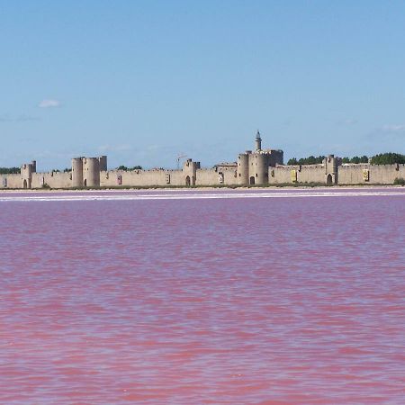 Aigues-Mortes Villa Pres Des Remparts Kültér fotó