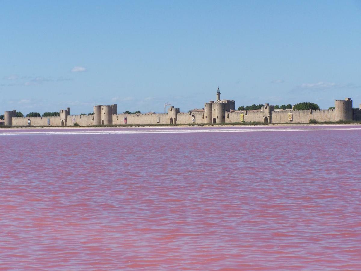 Aigues-Mortes Villa Pres Des Remparts Kültér fotó